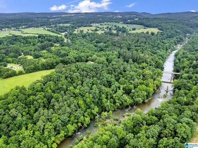 Nestled on over 13 breathtaking acres in Cleveland, this - photo 46