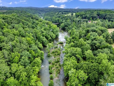 Nestled on over 13 breathtaking acres in Cleveland, this - photo 47