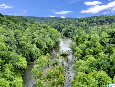 Nestled on over 13 breathtaking acres in Cleveland, this - photo 48