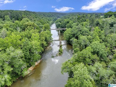 Nestled on over 13 breathtaking acres in Cleveland, this - photo 49