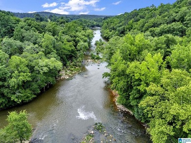 Nestled on over 13 breathtaking acres in Cleveland, this - photo 50