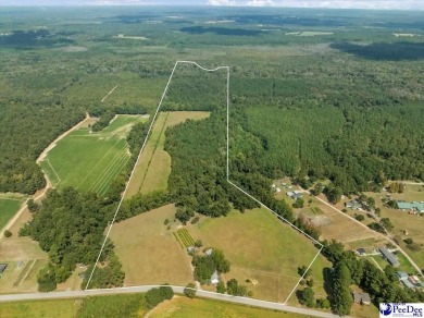 Lake Home For Sale in Dillon, South Carolina