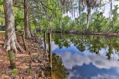 This canal-front home is move in ready and full of character and - photo 3