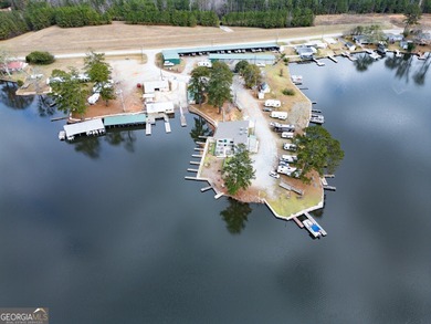 Rare opportunity to purchase a successful Marina on Jackson Lake - photo 3
