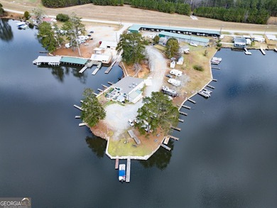 Rare opportunity to purchase a successful Marina on Jackson Lake - photo 4