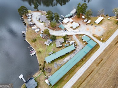 Rare opportunity to purchase a successful Marina on Jackson Lake - photo 5