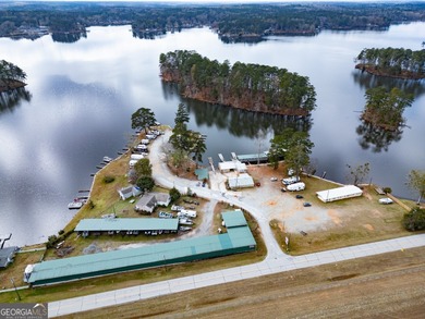 Rare opportunity to purchase a successful Marina on Jackson Lake - photo 6