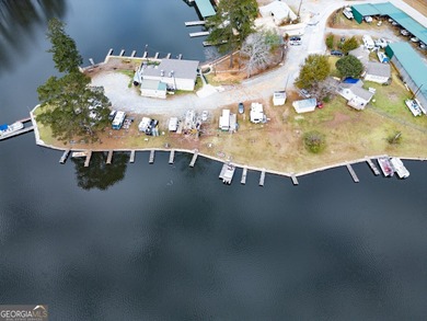 Rare opportunity to purchase a successful Marina on Jackson Lake - photo 7