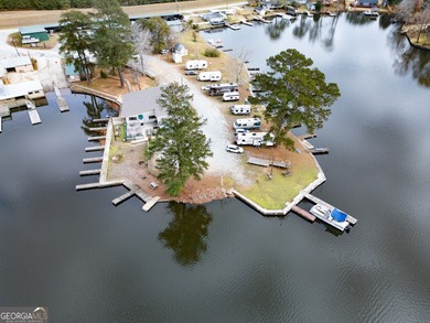 Rare opportunity to purchase a successful Marina on Jackson Lake - photo 8