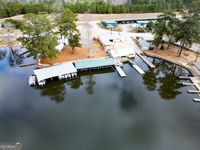 Rare opportunity to purchase a successful Marina on Jackson Lake - photo 9