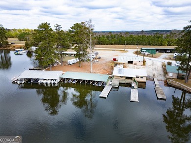 Rare opportunity to purchase a successful Marina on Jackson Lake - photo 10