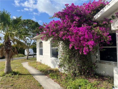 Lake Home For Sale in North Fort Myers, Florida