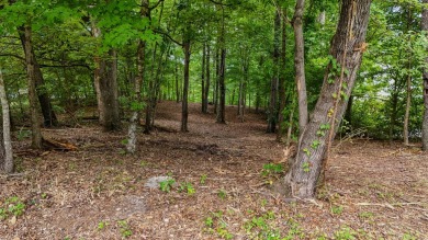 Lake Lot For Sale in Georgetown, Tennessee