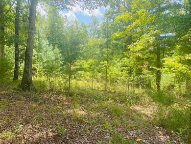 (private lake, pond, coastal) Lot For Sale in Murphy North Carolina