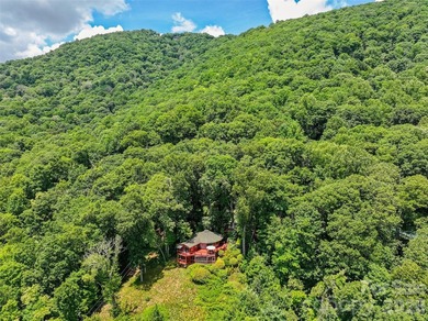 Perched high on Eagles Nest Mountain above Laurel Ridge Country - photo 41