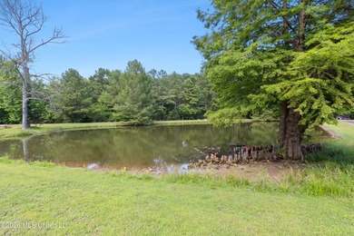 This brick home has been beautifully remodeled within the last - photo 5