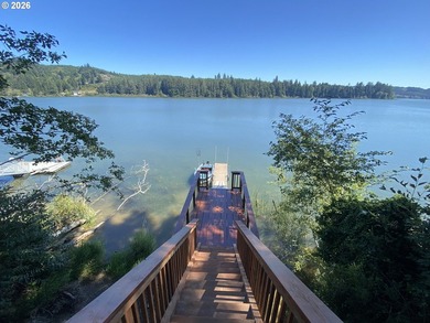 Charming Siltcoos Lakefront cabin with boat dock! End of road - photo 6