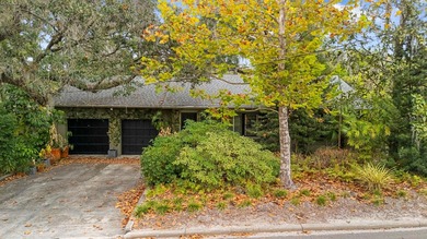 (private lake, pond, creek) Home For Sale in Temple Terrace Florida