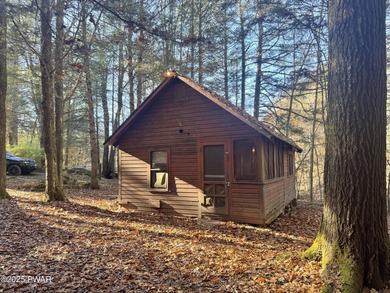 (private lake, pond, creek) Home For Sale in Milanville Pennsylvania