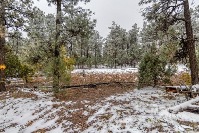 Lake Lot For Sale in Show Low, Arizona