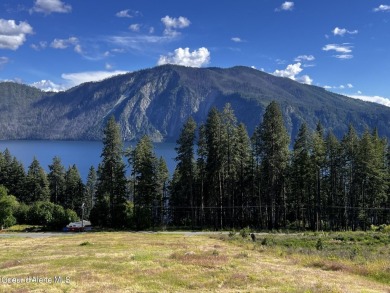 (private lake, pond, creek) Acreage For Sale in Bayview Idaho