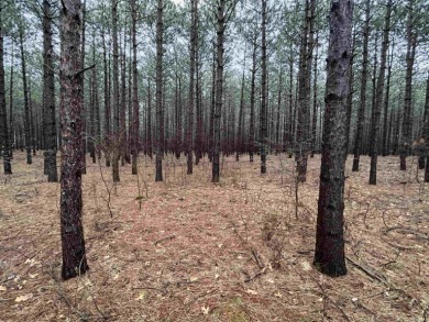 Great wooded lot just a stone's throw from Wisconsin's 2nd - Lake Acreage For Sale in Nekoosa, Wisconsin