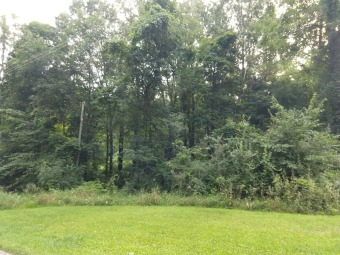 4 Acre Lot with Jimmerson Lake Association Access - Lake Lot For Sale in Angola, Indiana