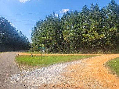 R.E. Bob Woodruff Reservoir Acreage For Sale in Autaugaville Alabama