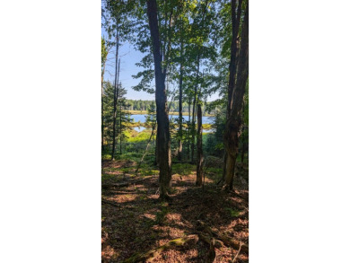 Lake Acreage For Sale in Mercer, Wisconsin