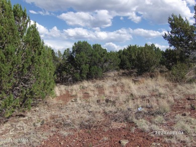 Lake Lot For Sale in Show Low, Arizona