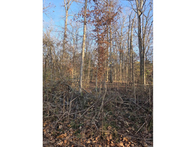 Newly listed large, *beautiful, level, flat lot*, almost an acre - photo 3