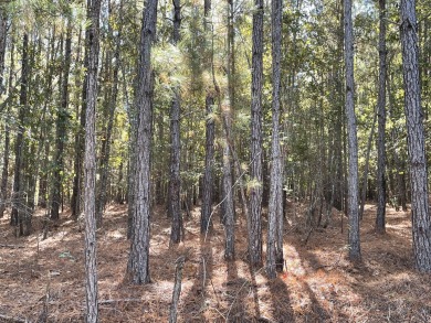 Lake Marion Acreage For Sale in Manning South Carolina