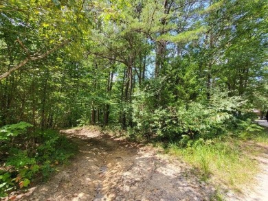 (private lake, pond, creek) Acreage Sale Pending in Pikeville Tennessee