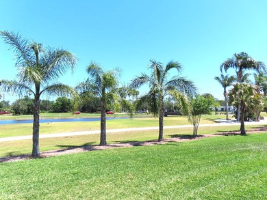 This never lived in Palm Harbor Black Diamond model home is - photo 6