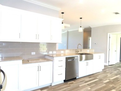 This never lived in Palm Harbor Black Diamond model home is - photo 8