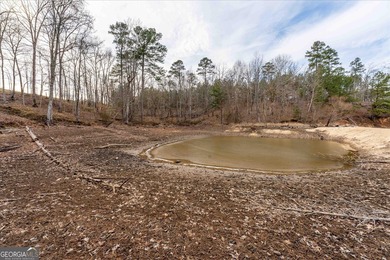 OWNER FINANCING AVAILABLE!! Some properties are about building a - photo 12