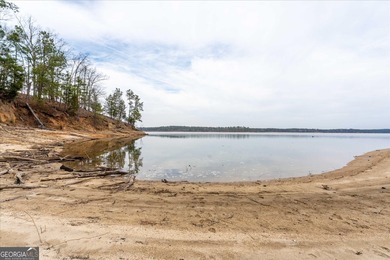 OWNER FINANCING AVAILABLE!! Some properties are about building a - photo 14