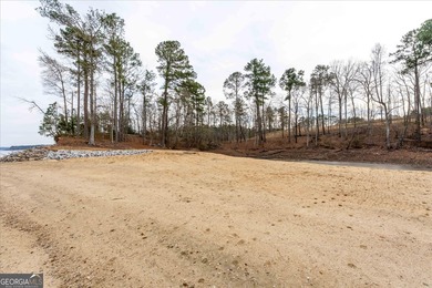 OWNER FINANCING AVAILABLE!! Some properties are about building a - photo 16