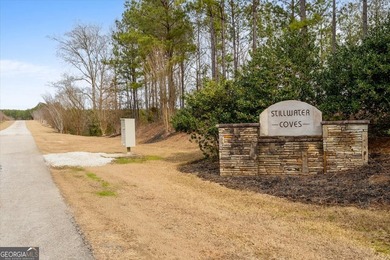OWNER FINANCING AVAILABLE!! Some properties are about building a - photo 24