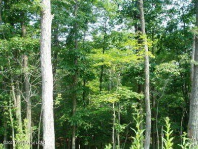 Lake Lot For Sale in Hazle Twp, Pennsylvania