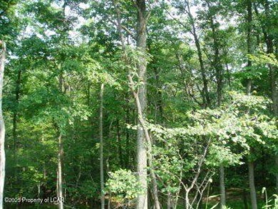 Lake Lot For Sale in Hazle Twp, Pennsylvania