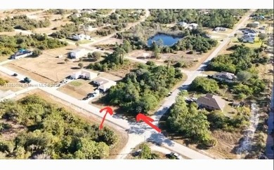 Lehigh Acres Area Lot For Sale in Lehigh Acres Florida