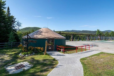 Welcome to your Adirondack luxury vacation home at the Whiteface - photo 12