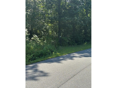 Lake Hiwassee Lot For Sale in Murphy North Carolina