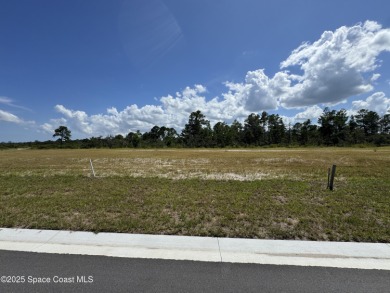 Indian River Lot For Sale in Titusville Florida