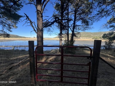 (private lake, pond, creek) Acreage For Sale in Nutrioso Arizona