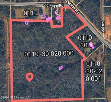 28.7 Acres in Rural Pass Christian - Two Parcels, One Incredible - photo 1