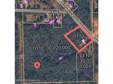 28.7 Acres in Rural Pass Christian - Two Parcels, One Incredible - photo 2