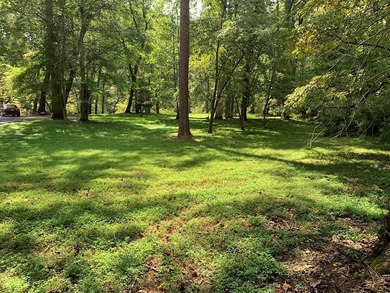 (private lake, pond, coastal) Lot For Sale in Murphy North Carolina