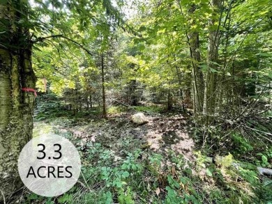 Lake Willoughby Acreage For Sale in Westmore Vermont